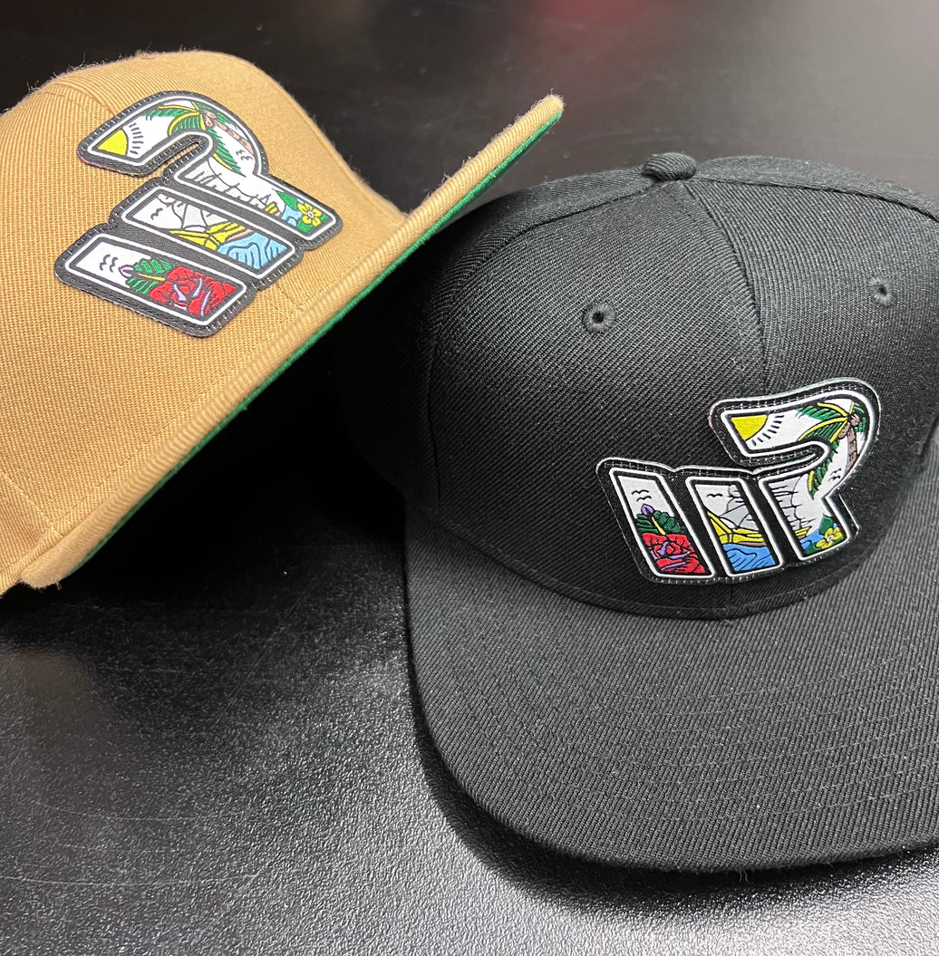 REMOTE SNAP BACK